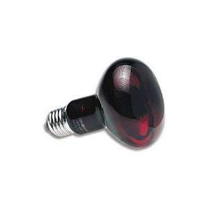  Zoo Med Nocturnal Infrared Heat Lamp