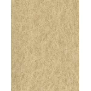  Wallpaper York Color Library NB180210: Home Improvement