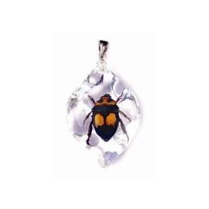  Real Insect Necklace, Small Stone Chafer 