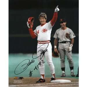   Rose (A3) Mail Order Item   INSCRIPTION   July Show: Sports & Outdoors