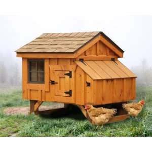  Chicken Coop 3 X 4 Chicken House Holds 3 4 Chickens: Pet 