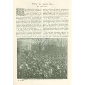  1901 White House Easter Egg Hunt illustrated: Everything 