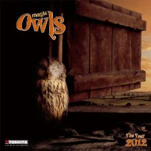  Magic Owls 2012 Wall Calendar