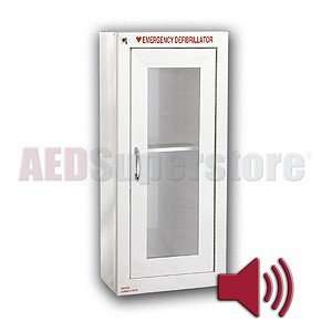   Alarm (Recessed Mount) Cabinet   AMP184 1RM