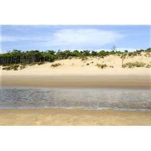  Plage Et Dune De Saint Palais   Peel and Stick Wall Decal 