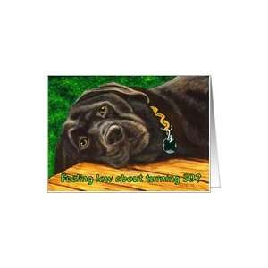  Funny Birthday ~ 30 Years Old ~ Labrador Dog Card Toys 