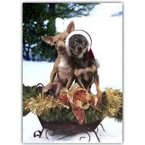 Funny Two Chihuahuas Dogs in a Sleigh Christmas Holiday Greeting Cards 