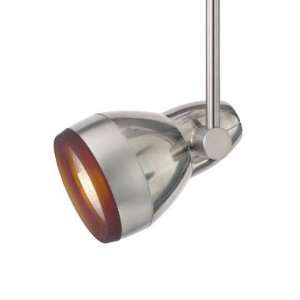   With Incandescent Par 30l 6, T~trak Om Par30l 06 Amber, Satin Nickel