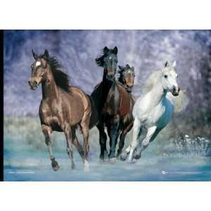  Bob Langrish 3d Poster Horses Running Water 45006