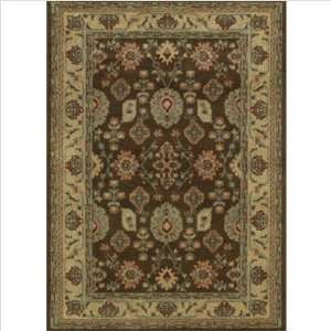  Shaw Rugs 3V3 12700 Origins Palladian Earthern Brown 