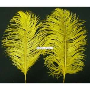 Ostrich~20 Deluxe Yellow Ostrich Feather 10 14 to Decorate Eiffel 