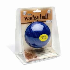  Petmate Wacky Cat Yarn Ball Interactive Cat Toy Pet 