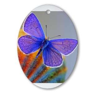  Ornament (Oval) Xerces Purple Butterfly: Everything Else
