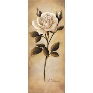   Roses II Finest LAMINATED Print Diane Cochrane 6x15