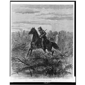  Union scouts,Louisiana,Civil War,1864,LA,Harper Weekly 