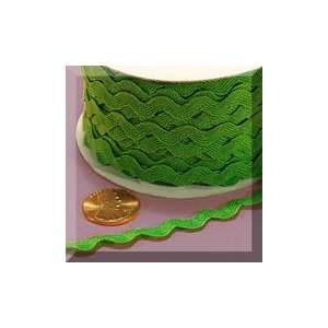    1ea   5mm X 22yd Apple Green Ric Rac Trim: Health & Personal Care