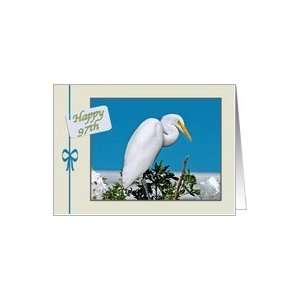 97th Birthday Card with Great Egret Card: Toys & Games