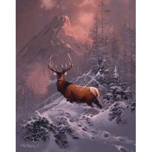  Ted Blaylock   The Lone Bull Canvas Giclee