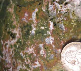 rm69   OLD STOCK   OCEAN JASPER   Madagascar   SUPERB   3.4 lbs   #521 