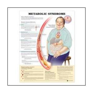  Metabolic Syndrome Anatomical Chart 20 X 26 Health 