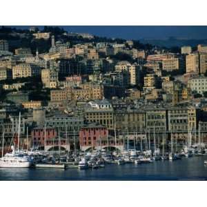  City Above Port and Marina, Genova, Liguria, Italy Lonely 