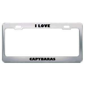  I Love Capybaras Animals Metal License Plate Frame Tag 