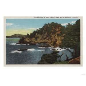 Carmel, CA   Rugged Coast on Point Lobos, Carmel Bay Premium Poster 