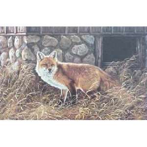  Rosemary Millette   Silent Hunter Red Fox