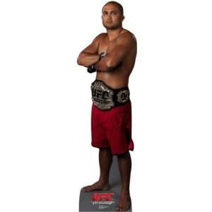  BJ Penn   UFC 19 x 68 Print Stand Up