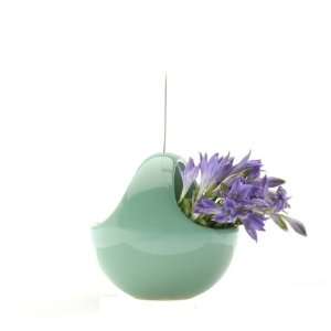  Chive Hanging Aerium Nest Vase, Green