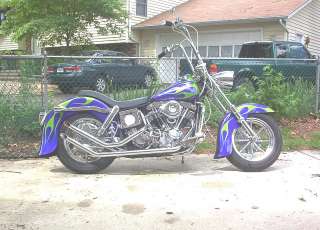 Custom Paint Job on Your Motorcycle Set. Harley, Victory, CanAm 