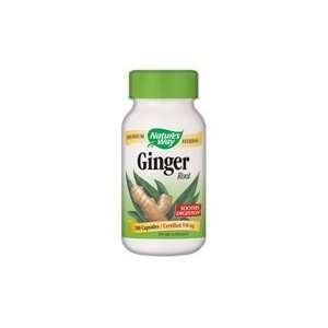  GINGER ROOT pack of 13