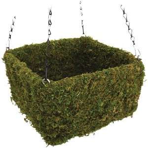   Moss Square Hanging Basket, Spring Green, Small: Patio, Lawn & Garden