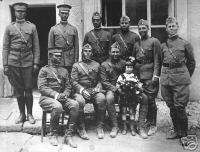 WW1 Buffalos 367th Infantry 77th Division 1918 France  