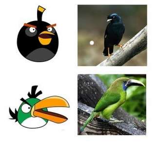 Angry Bird CAP Smart Phone Game Character CAP 5 Colors!  