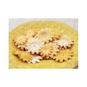   Daisy Delicates Caramel Embossed Paper Flowers Arts, Crafts & Sewing