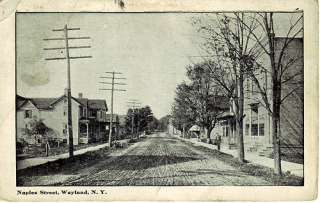 Wayland NY   New York   Naples Street   Dirt Road  1912  