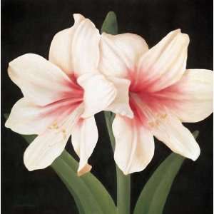  Contemporary Lily I by Gloria Eriksen. Size 20.00 X 20.00 