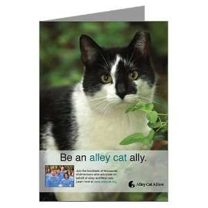 National Feral Cat Day Greeting Cards 10 pk Greeting Cards Pk of 10 by 