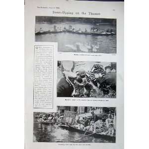   1906 River Thames Swans Birds Cygnet Vinters Company