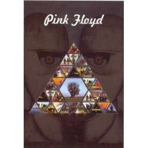  Pink Floyd (Prism) Poster: Home & Kitchen