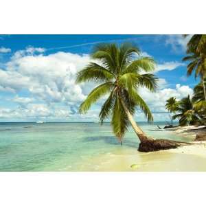  Beach and Palm Trees Wall Murals