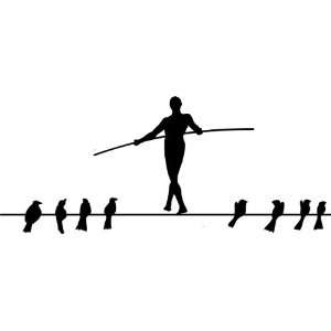  Removable Wall Decals  Birds and Man on wire: Home 