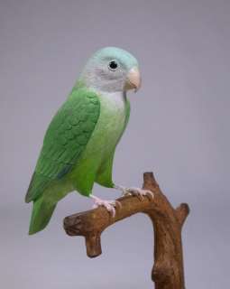 Grey Cheek Parakeet Bird wood Carving/Birdhug  