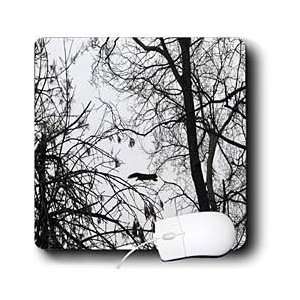   Beverly Turner Photography   Flying Squirrel   Mouse Pads Electronics