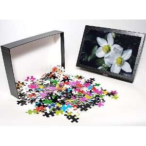   Jigsaw Puzzle of Christmas Rose from Ardea Wildlife Pets Toys & Games
