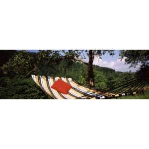 Hammock with Pillows in a Forest, Baden Wurttemberg, Germany by 