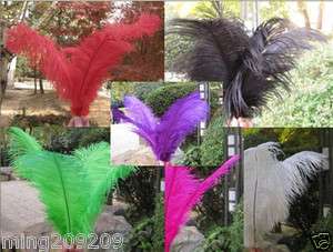   Quality Natural OSTRICH FEATHERS 12 14inch Color Selection  