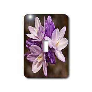   plant purple flower   Light Switch Covers   single toggle switch Home