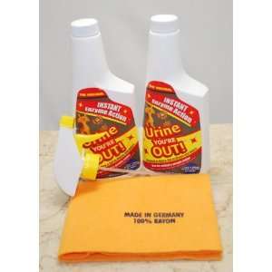 Pet Stain & Odor Remover Two 16 Oz. Bottles with Chamois, Spray Nozzle